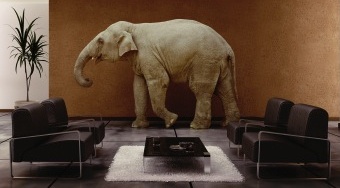 Elephant in the room